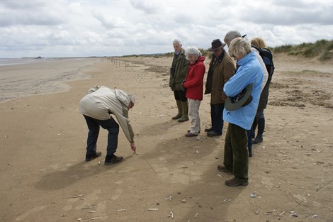 Titchwell Marsh.jpg